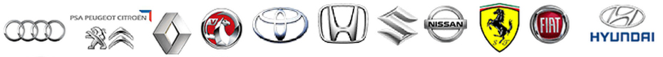 Our vehicle brand